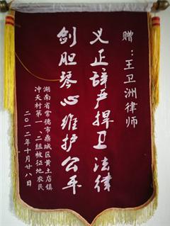 义正言辞捍卫法律,剑胆琴心维护公平